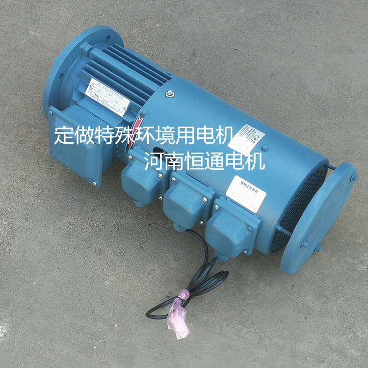 防腐蝕電機(jī) 耐潮濕電動(dòng)機(jī) 防腐蝕電機(jī) 耐潮濕電動(dòng)機(jī)